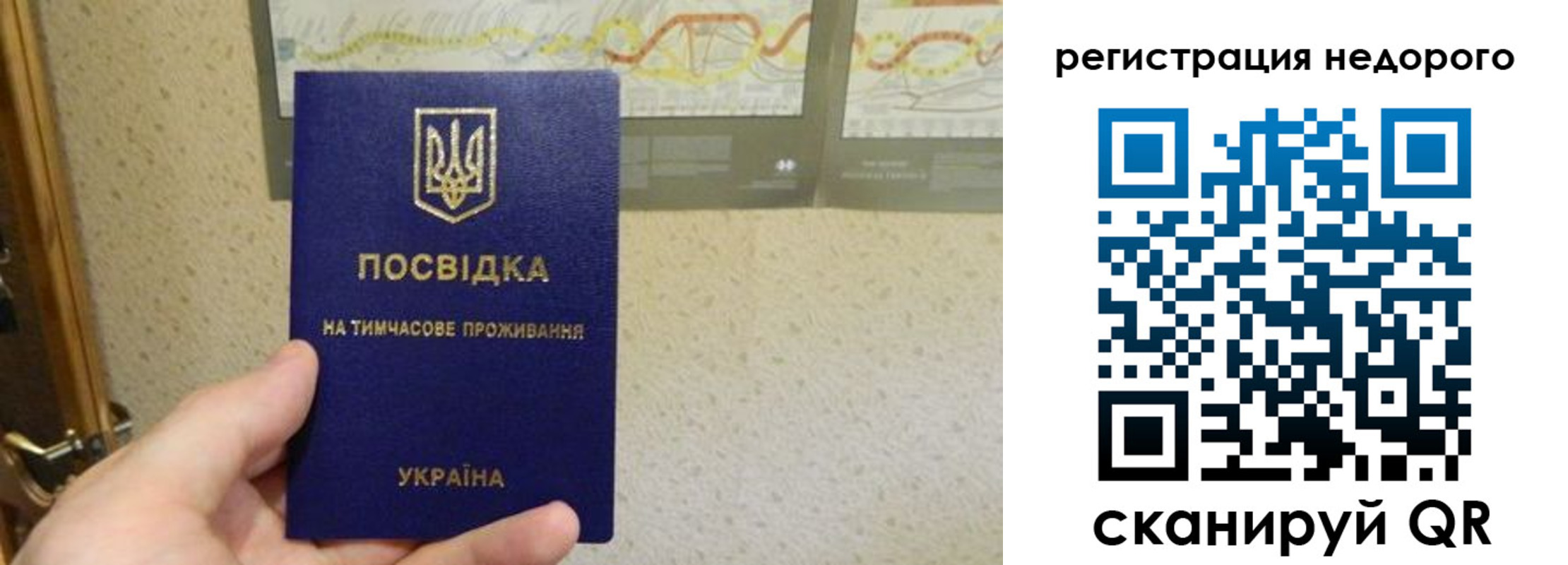 прописка для работы в Карабаново